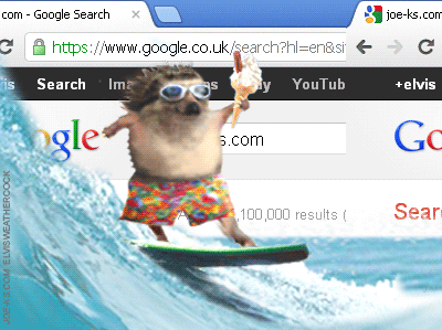 surfing the web